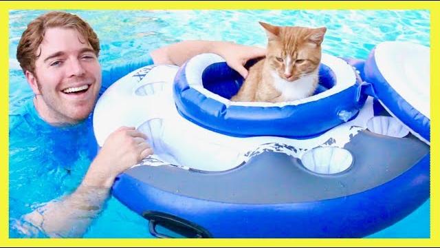 Trying crazy pool toys Trying crazy pool toys