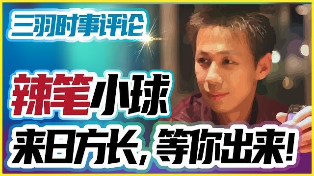 Ccav播出「辣筆小球」電視認罪片段!中共言論治罪進行時!仇子明,來日方長! Ccav播出「辣筆小球」電視認罪片段!中共言論治罪進行時!仇子明,來日方長!