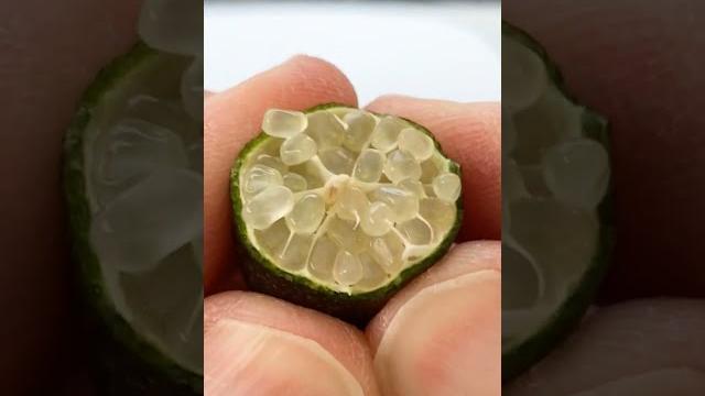 Watch this caviar lime burst with flavor Watch this caviar lime burst with flavor