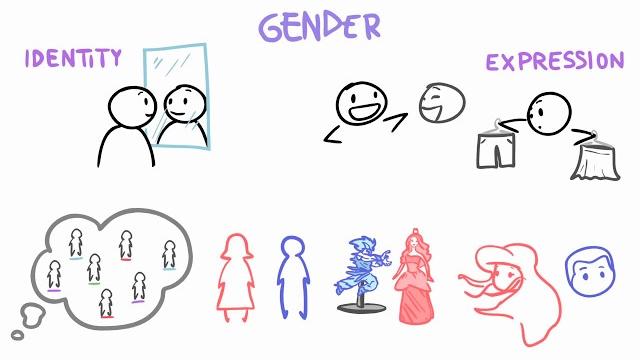 Sex vs gender vs orientation Sex vs gender vs orientation