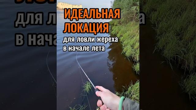 Такие места, всегда раздают по жереху в июне!!! #поймалотпусти #рыбалка #жерех #рыбалканаспининг Такие места, всегда раздают по жереху в июне!!! #поймалотпусти #рыбалка #жерех #рыбалканаспининг