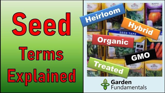 Seed terms explained heirloom, hybrid, organic, open-pollinated, gmo, treated, non-hybrid Seed terms explained heirloom, hybrid, organic, open-pollinated, gmo, treated, non-hybrid