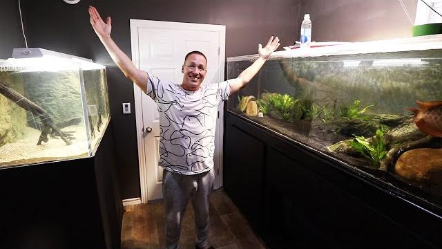 Fish room reveal! the king of diy aquarium gallery Fish room reveal! the king of diy aquarium gallery