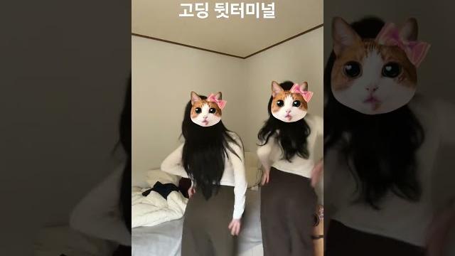 고딩 뒷터미널 #교복#학생#고딩#숏츠#틱톡 고딩 뒷터미널 #교복#학생#고딩#숏츠#틱톡