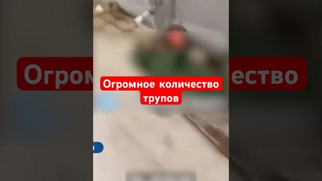 Видео из ростова! горы российских солдат #shorts #россияне #сво Видео из ростова! горы российских солдат #shorts #россияне #сво