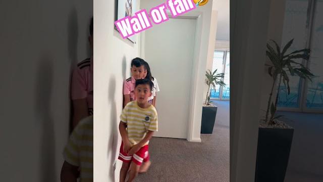 Wall or fall-with brothers,funny by iva & ivana Wall or fall-with brothers,funny by iva & ivana