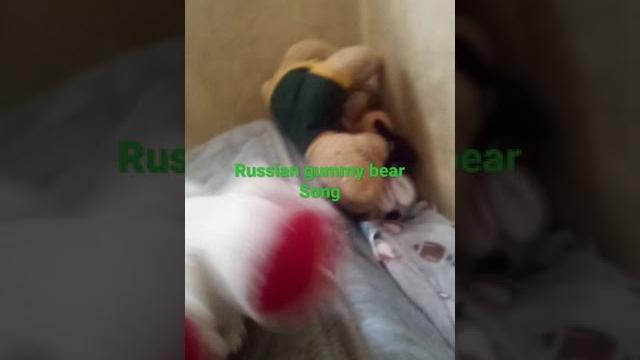 Gummy bear song russian song Gummy bear song russian song