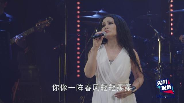潘越云《野百合也有春天》“重show旧好”演唱会上海站 潘越云《野百合也有春天》“重show旧好”演唱会上海站