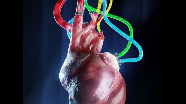 Heartbeat two | 3d loop animation Heartbeat two | 3d loop animation