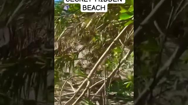 Secret beach #travel #explore #travelling #adventure #nudistbeach #nudist #beach #gsd #beachdog Secret beach #travel #explore #travelling #adventure #nudistbeach #nudist #beach #gsd #beachdog
