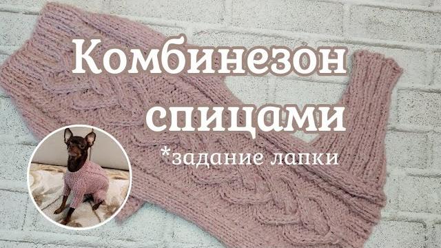 Комбинезон для собаки, вязание спицами Комбинезон для собаки, вязание спицами