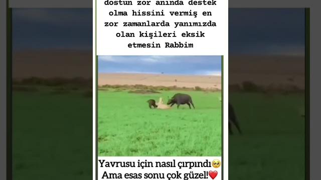 Zor zamanlarda yanınızda olanlar.️#merhamet #vicdan#anneolmak #dostluk #gününsözü #hayatinaynasi Zor zamanlarda yanınızda olanlar.️#merhamet #vicdan#anneolmak #dostluk #gününsözü #hayatinaynasi