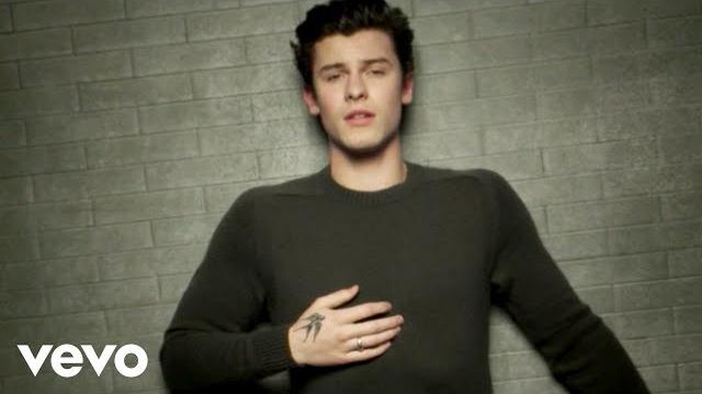 Shawn mendes - in my blood Shawn mendes - in my blood