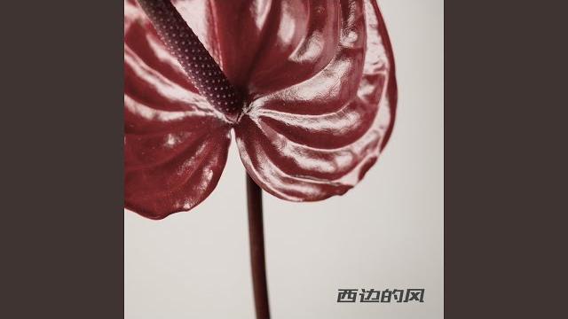 西边的风 西边的风