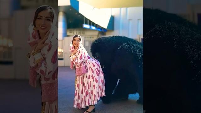 Gorilla show #mcstan #hiphop #rap #saree #armpithair #bigo #periscope #tango #live #youtube#festival Gorilla show #mcstan #hiphop #rap #saree #armpithair #bigo #periscope #tango #live #youtube#festival