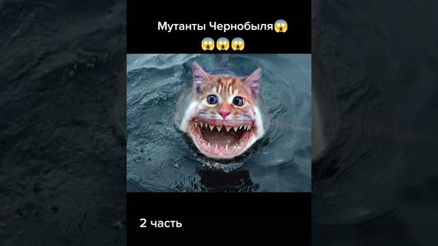 Мутанты из чернобыля. Мутанты из чернобыля.