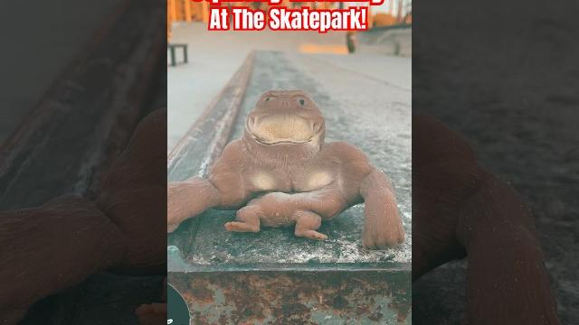 Squishy monkey big splat! #japan #funny #baby #squishy #monkey #funnymonkey #funnyanimal #grimace Squishy monkey big splat! #japan #funny #baby #squishy #monkey #funnymonkey #funnyanimal #grimace