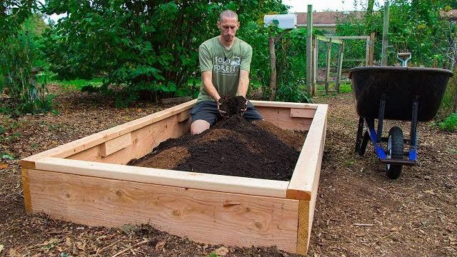 How to build a raised bed cheap and easy, backyard gardening How to build a raised bed cheap and easy, backyard gardening