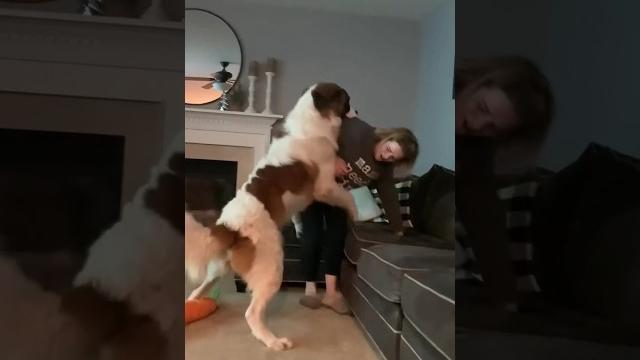 Dog vs girl romance #viral #video #love #rajkumar Dog vs girl romance #viral #video #love #rajkumar