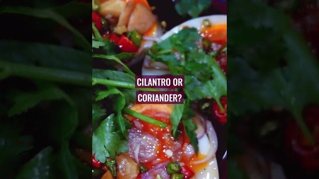Cilantro vs coriander, what is the difference? Cilantro vs coriander, what is the difference?