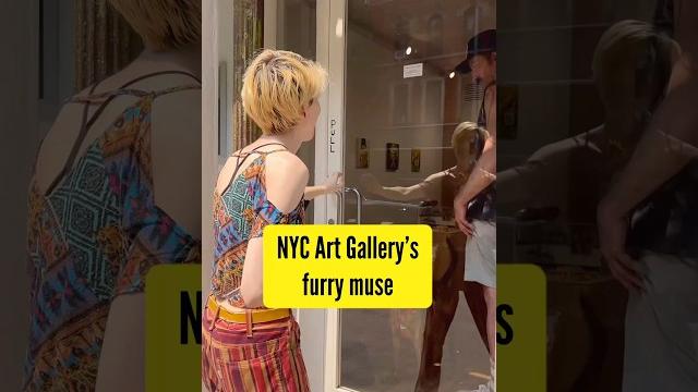Dog inspires nyc art gallery exhibition Dog inspires nyc art gallery exhibition