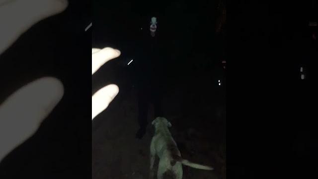 Scary joker skiddy toilet buttman tries to attack young busty teen pov bbc because gay feet poop Scary joker skiddy toilet buttman tries to attack young busty teen pov bbc because gay feet poop