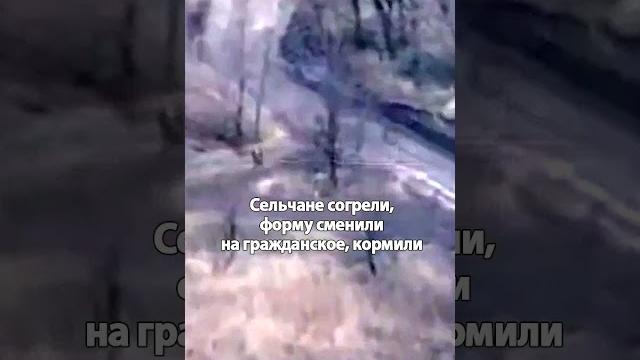 Украинцы прятали от всу раненого русского солдата полгода! боец зашел в счастливый дом! Украинцы прятали от всу раненого русского солдата полгода! боец зашел в счастливый дом!