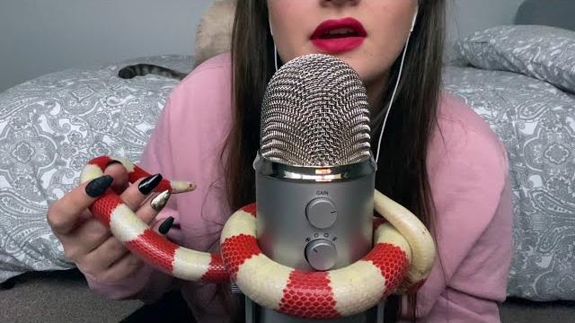 Asmr meet my pet snake! Asmr meet my pet snake!
