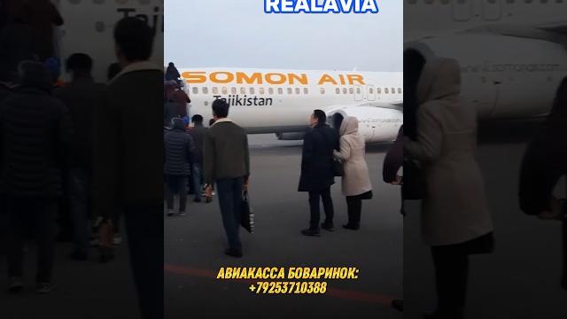 #aviabilet #moskva #tashkent #bekmobil #musofir #uzbek #aviakassa #uzbekistann1 #uzbekistan #aviabilet #moskva #tashkent #bekmobil #musofir #uzbek #aviakassa #uzbekistann1 #uzbekistan