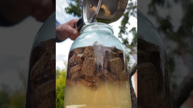 Домашний квас Домашний квас