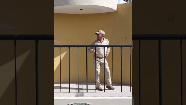 Reapareció el poli pnp gato #viralvideo #salsa #foryou Reapareció el poli pnp gato #viralvideo #salsa #foryou