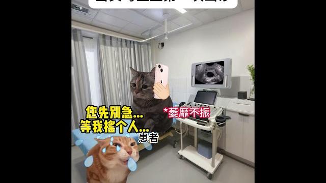 当实习医生第一次出诊 #猫meme #猫meme小剧场 #实习医生 #搞笑 #专家号 #猫meme #搞笑 #喵哥是萌新 #meme #cat #人類迷惑行為 #funny #meme猫 当实习医生第一次出诊 #猫meme #猫meme小剧场 #实习医生 #搞笑 #专家号 #猫meme #搞笑 #喵哥是萌新 #meme #cat #人類迷惑行為 #funny #meme猫