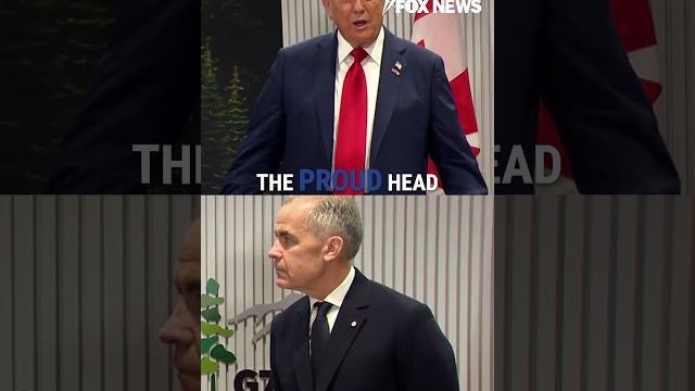 Trump says it was 'big mistake' to boot putin from g8 #shorts #usa #russia #politics #world #trump Trump says it was 'big mistake' to boot putin from g8 #shorts #usa #russia #politics #world #trump