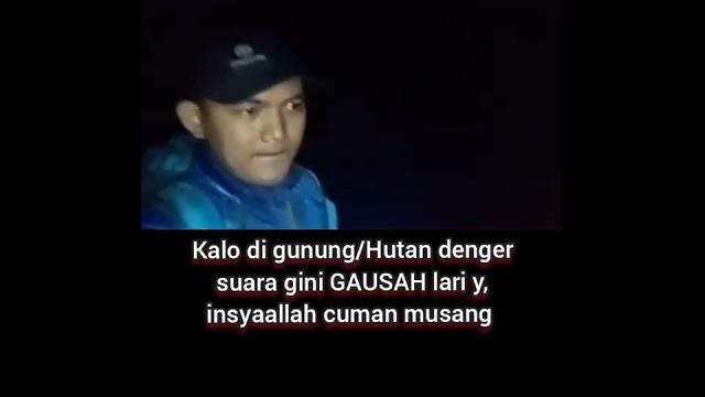 Insyaallah suara musang Insyaallah suara musang