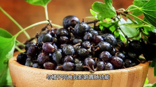 无籽金手指黑加仑营养分析及食用禁忌 无籽金手指黑加仑营养分析及食用禁忌