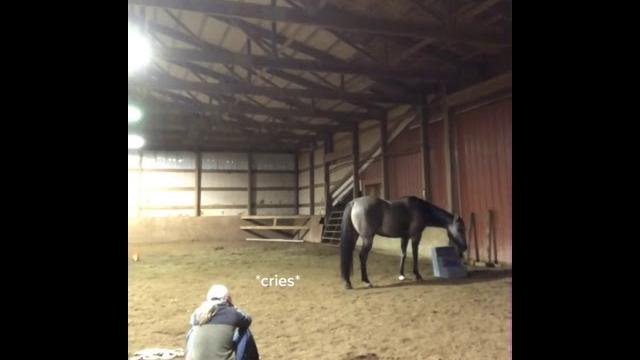 Girl acts sad to see how her horse will react. Girl acts sad to see how her horse will react.