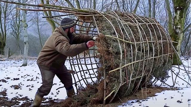 Survival expert builds 4 amazing shelters in the forest | start to finish @osbushcraft Survival expert builds 4 amazing shelters in the forest | start to finish @osbushcraft
