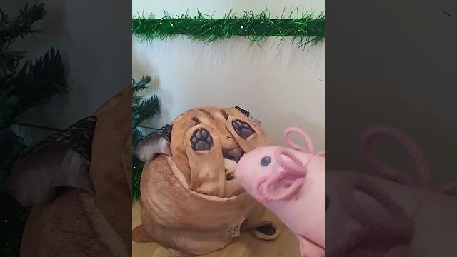 Вот что получить шлёпа на др #рек #youtube #рекомендации #блоптоп #tiktok #прикол #шортс #шлепа Вот что получить шлёпа на др #рек #youtube #рекомендации #блоптоп #tiktok #прикол #шортс #шлепа