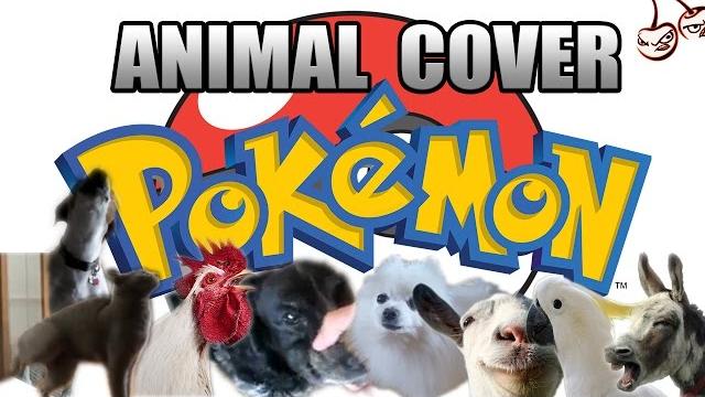 Pokemon main theme (animal cover) Pokemon main theme (animal cover)