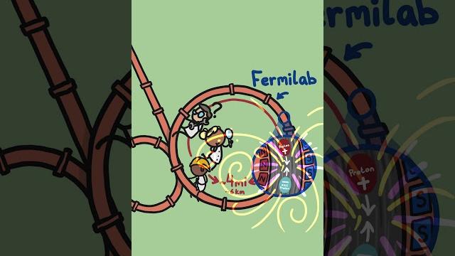 Ferrets in stem Ferrets in stem