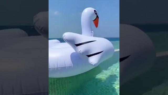 Bikini session maldives vlog Bikini session maldives vlog