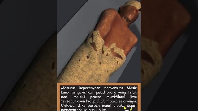 Fakta unik tentang mumi #shorts #mumi #mesirkuno Fakta unik tentang mumi #shorts #mumi #mesirkuno
