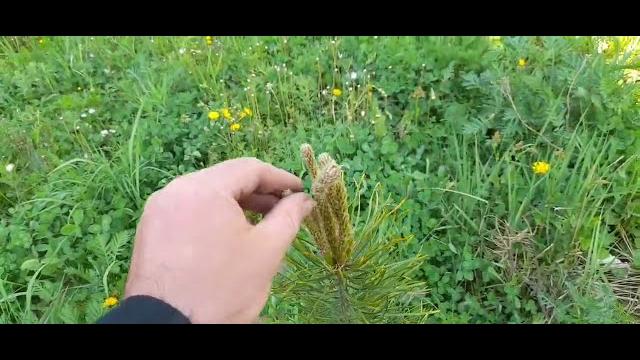 Ремонт,рейс ноябрьск- коротчаева - н.уренгой. Ремонт,рейс ноябрьск- коротчаева - н.уренгой.