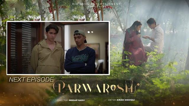 Parwarish episode 20 | teaser | aina asif | samar jafri Parwarish episode 20 | teaser | aina asif | samar jafri