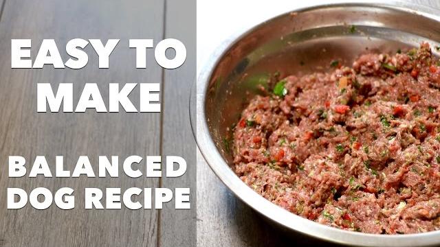 Homemade dog food recipe Homemade dog food recipe