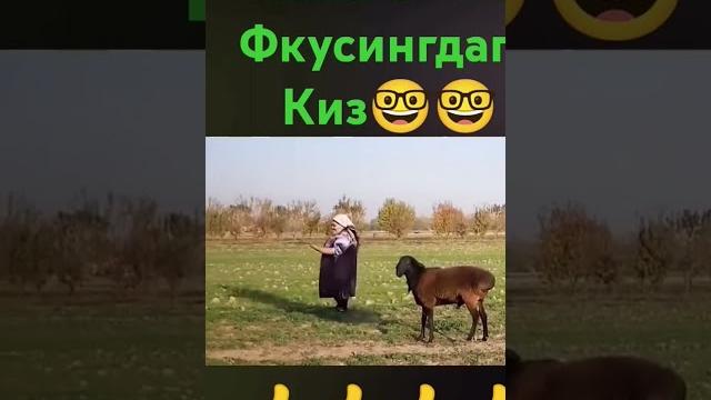 Гулбахор гафоррова хандинкамон Гулбахор гафоррова хандинкамон