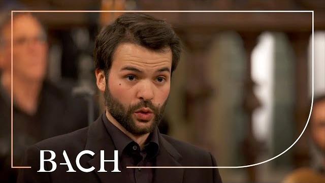 Bach - st john passion bwv 245 - van veldhoven | netherlands bach society Bach - st john passion bwv 245 - van veldhoven | netherlands bach society