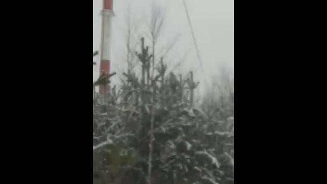 Тетерева Тетерева