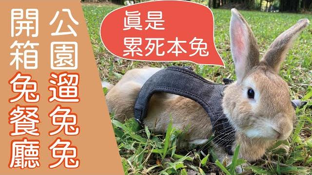 耶比日常/遛兔該注意什麼呢?帶兔兔去公園跑跑&開箱新的兔兔餐廳 耶比日常/遛兔該注意什麼呢?帶兔兔去公園跑跑&開箱新的兔兔餐廳