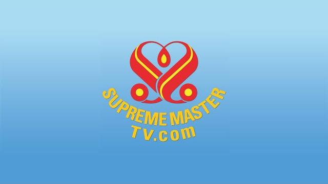 Suprememastertv live (1080p 1 + 119,200 x max) Suprememastertv live (1080p 1 + 119,200 x max)
